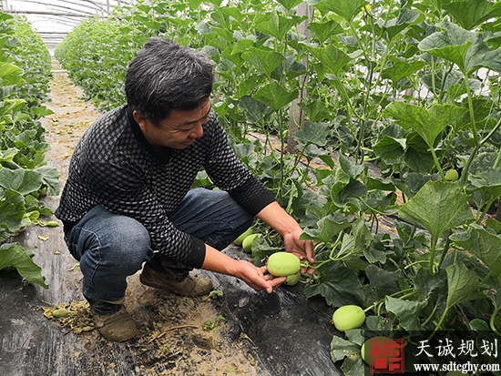 土地流转与扶贫解困“联姻”拓宽贫困户增收渠道