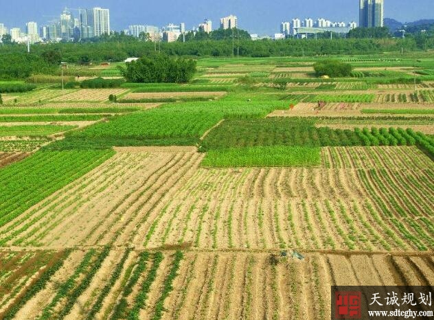 农村土地确股不确地 不种地收益反而增长