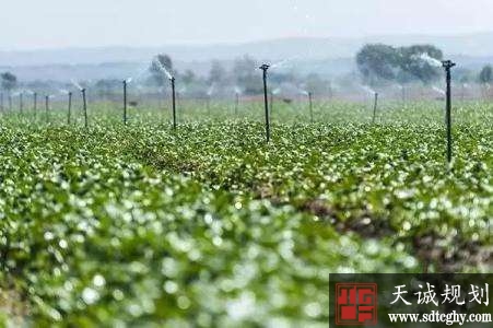 邓州农业水价改革提高节水意识助推土地流转