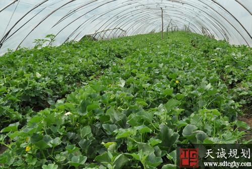 菏泽放大产业扶贫带动效应 让贫困户在产业链上增收致富
