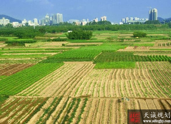哪些农村土地被“卖出”后还能收回来?