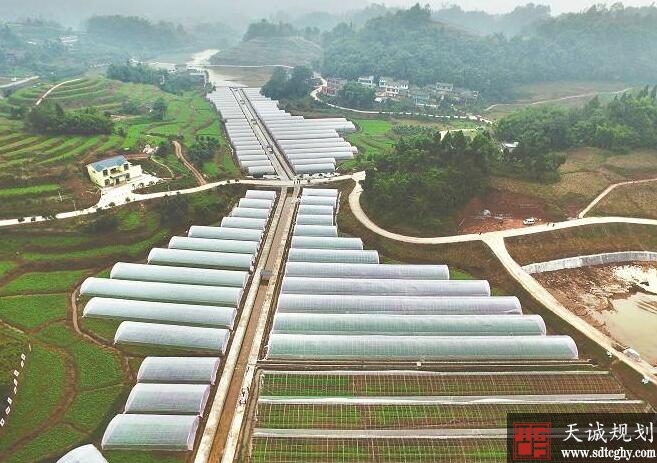 丰乐镇农土地流转加快结构调整促产业化发展致富农民