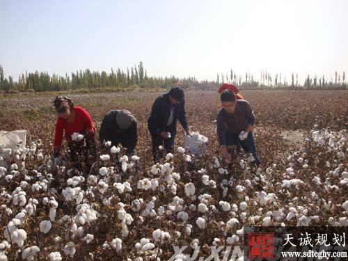 沙雅县村民尝到土地流转的甜头对脱贫充满信心