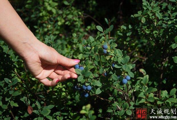 道县流转土地开发整理让新增耕地产生经济效益