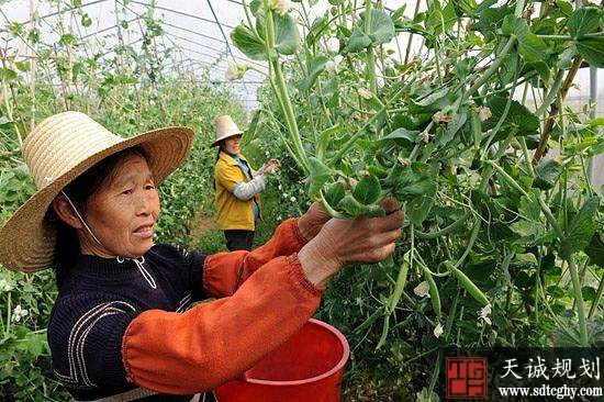 宜春市多措并举构建清晰的国土生态空间开发利用格局