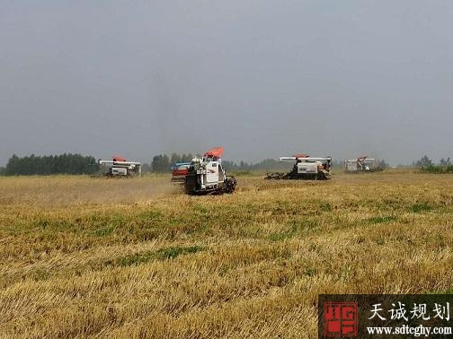 邓州以农村土地“三权分置”为突破拓宽增收渠道