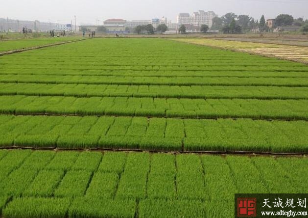 南湖区新版土地承包权证书将陆续下发到村民手中