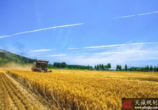 山东印发新修订《山东省市级政府耕地保护责任目标考核办法》