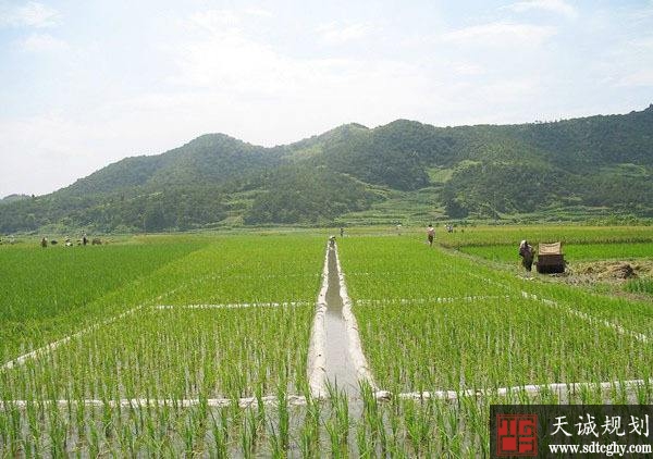 兰陵县农田水利项目推动农业经济发展促民增收致富