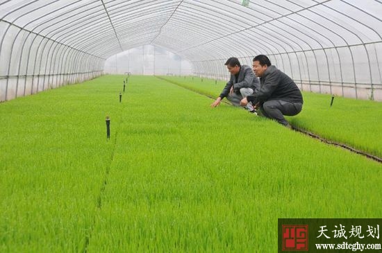 监利县七千种粮大户和家庭农场主成为乡村发展生力军