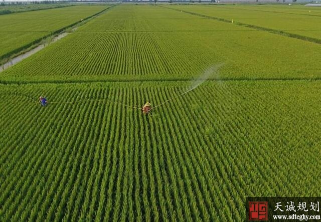 唐山市多措并举大力推进农土地流转实现土地流转24.9%