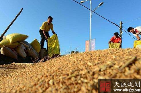 今年是粮食“政策性收购”向“市场化收购”转型重要时期