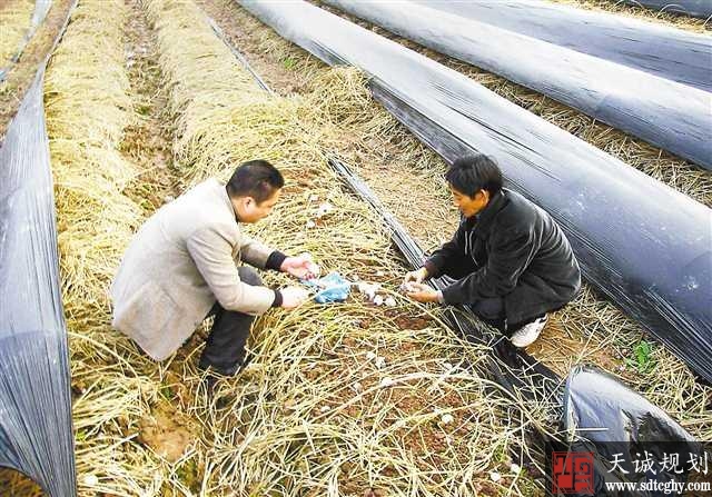 荣昌农土地确权确股不缺地改革激活土地资源