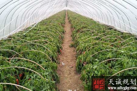 永州市土地流转率达到54.46% 促农业增产农民增收