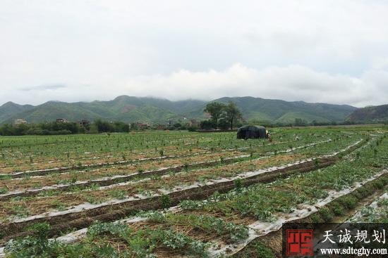 梧州建立完善农村产权交易平台释放土地增值潜力