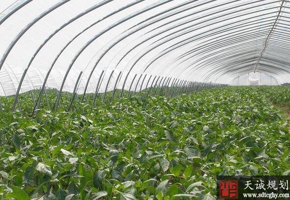 淮安引入现代农业创新思路发展特色产业激发产业新动能