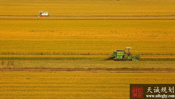 33个新一伦农村土地制度改革试点地区焕发出巨大活力和生机