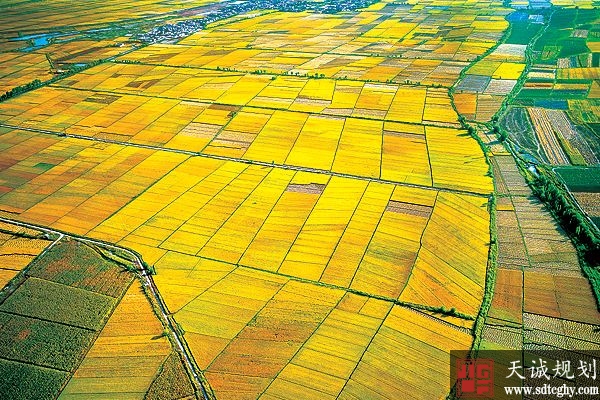 “一户一田”?今年实施一户一田去除土地零散化