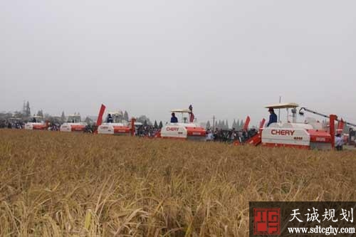 辽宁年底前实现农垦土地确权登记发证面积要达到90%以上