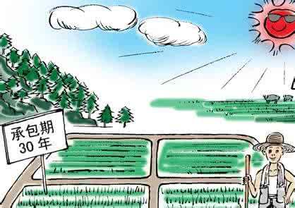 农土地承包期限再延长三十年 新增人口还能分上土地吗?