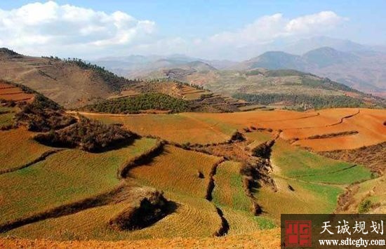 “三块地”改革加快农村土地苏醒为乡村振兴打下基础