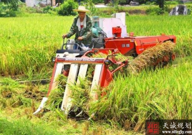 农行河池分行落实国家普惠金融政策加大信贷力度