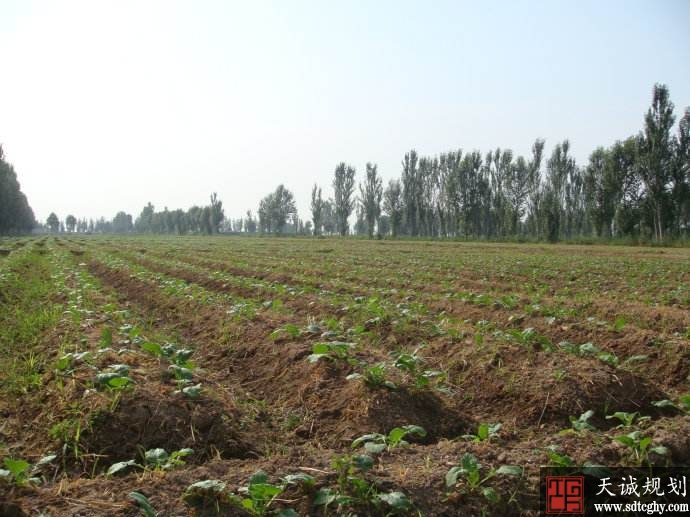 贺兰县多样化土地流转促农民脱贫致富