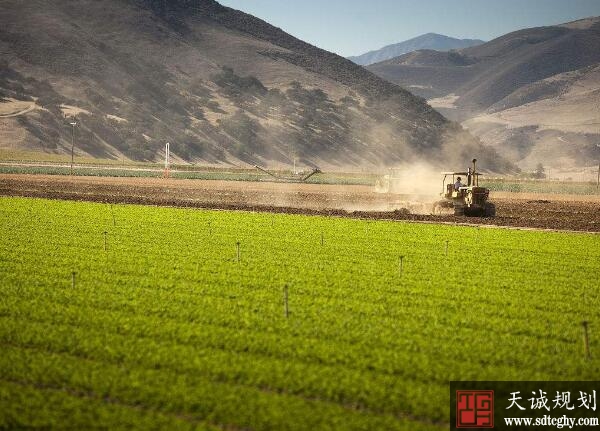 荆门市东宝区村民把土地存入土地合作社实现收入成倍增长