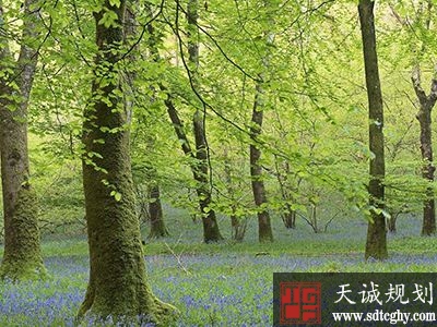 农土地承包法正案草案二审:草地林地承包期届满拟延长30年