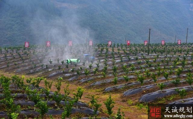 叙永县三年投入五亿余元建设农田水利成效显著并获省级表彰