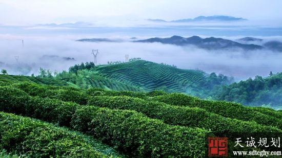 西乡县通过旱地综合整治提升耕地质量提高农民收入