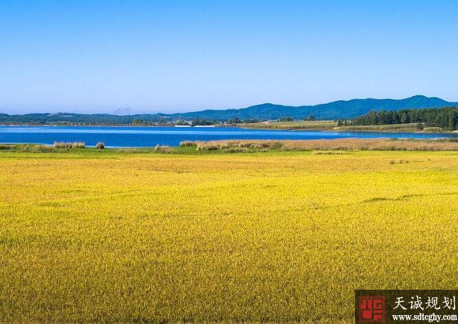 吉林省扎实推进土地确权 为乡村振兴提供有力支撑