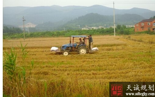 峨山镇实施土地整理4100亩变荒地为耕田