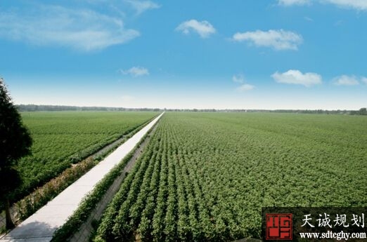浙江率先建立耕地保护补偿机制并将再建1000万亩高标准农田