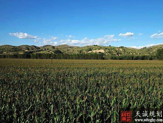 文水县将耕地保护纳入乡镇年度目标责任考核体系