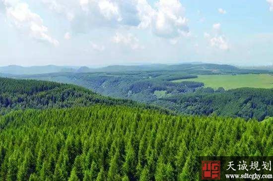 崇明区加速林业建设工作 大幅提高森林体量和质量