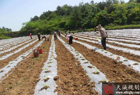 石门县发放首批农土地承包经营权证让农民无后顾之忧