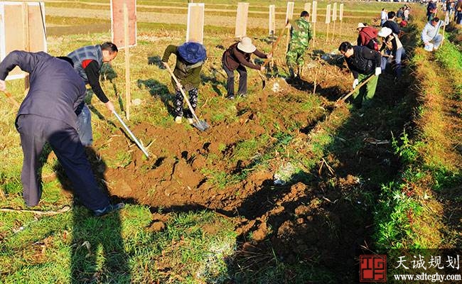 柯街镇开展农田水利建设为防洪御旱等打下了坚实基础