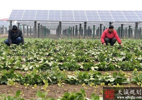 海门全省首单土地流转赔付的完成为农民利益添保障