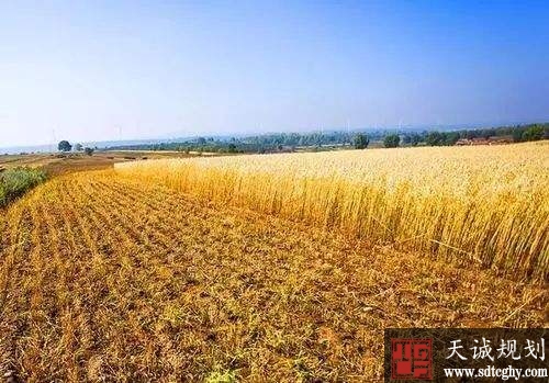土地经营权入股期限能超过土地承包期吗?
