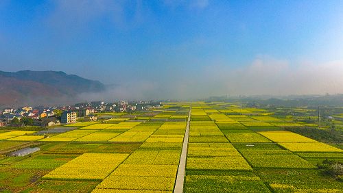 湖南颁发土地承包经营权证让农民更加放心流转土地