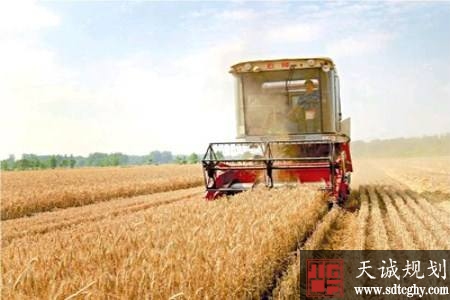 七部门联合印发《国家质量兴农战略规划(2018—2022年)》