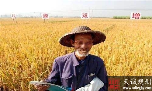 中央一号文件:研究出台土地承包期延长30年的配套政策
