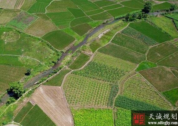 农行河池分行加大农土地整治贷款投放力度加快农业健康发展