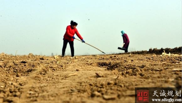 进城不能强制农民放弃土地 必须尊重农民意愿