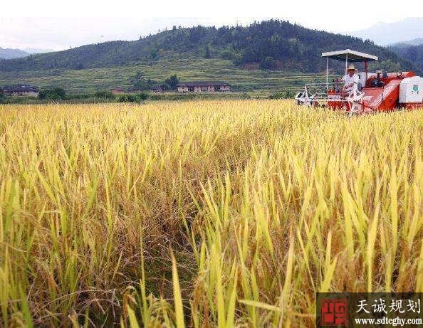 崇义县土地流转大幅提高土地产出效益