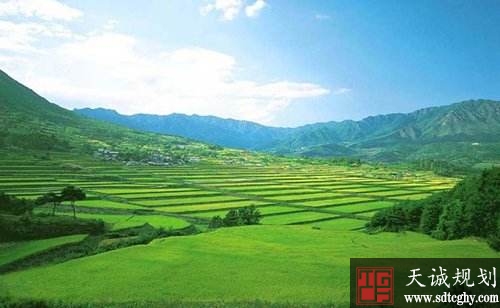 农民一定要提防农土地流转这几个“陷阱”!