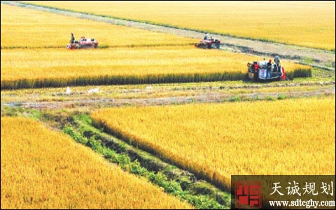 陕西占用基本农田的适用税额拟上调50%