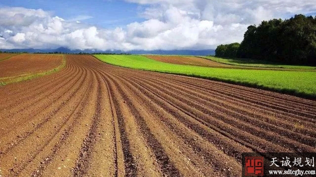 贵州开展耕地休耕制度试点　20万亩耕地将“休息”
