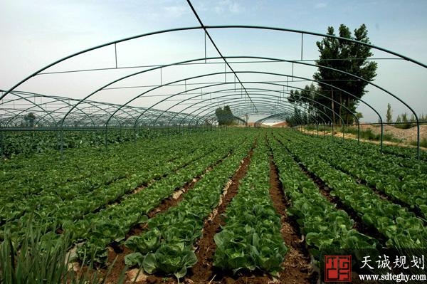 甘州区通过耕地地力保护补贴改革加强农业污染防治